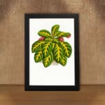Vintage wall art of a leafy plant with green, yellow, and pinkish-red leaves on a white background, framed in black. displayed on the wall