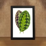 Infidu Vibrant Green and Purple Leaf Vintage Wall Art featuring bright green and purple leaves with natural detailed patterns. displayed on the wall