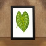 Heart-shaped green leaf with yellow-green veins on white background, framed in black – vintage botanical wall art. displayed on the wall