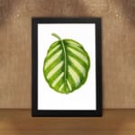 Vintage botanical wall art of a single striped green leaf with light and dark shades, set on a white background with a black frame. displayed on the wall
