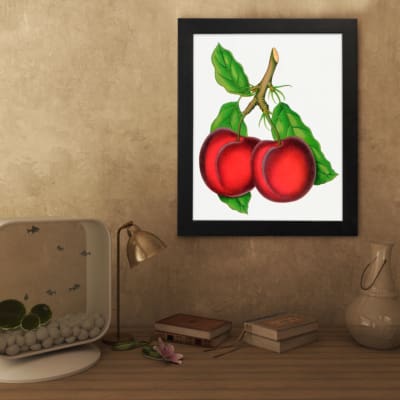 Vintage wall art featuring two red plums with green leaves on a white background. displayed on the wall