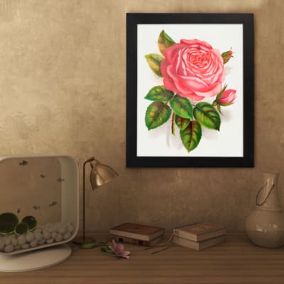 Vintage pink rose in full bloom with green leaves on a white background. displayed on the wall