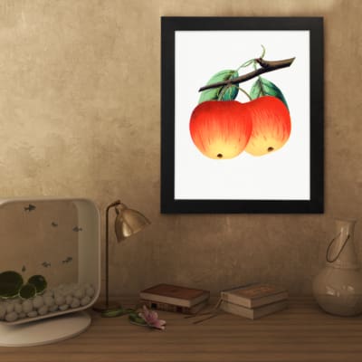 Vintage wall art of red and yellow apples with green leaves on a white background. displayed on the wall