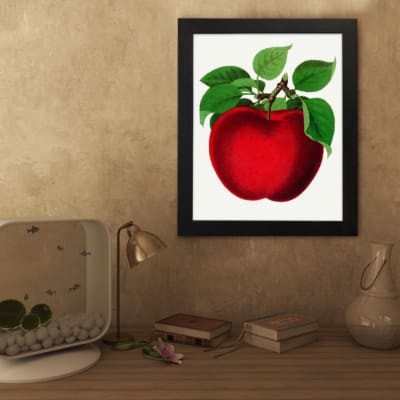 Vintage red apple wall art with green leaves on a white background, perfect for kitchen or dining room decoration. displayed on the wall