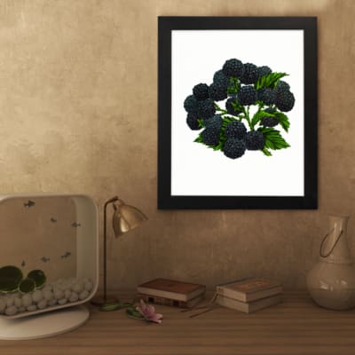 Infidu Vintage Blackberry Wall Art showing detailed dark blackberries with green leaves on a white background. displayed on the wall