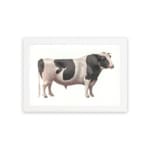 Vintage black and white cow wall art in clean, minimalist style with white background. hung on the wall