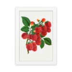 Vintage wall art of red lychee fruits on a branch with green leaves, framed in black on a white background. hung on the wall
