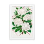 Vintage art of white roses with green leaves and red geometric background, framed for classic elegance. hung on the wall