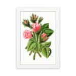 Vintage wall art of soft pink rosebuds with green leaves and stems in a white frame on a white background. hung on the wall