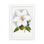 Vintage wall art of a white flower with soft purple hues and green leaves, framed in white. hung on the wall
