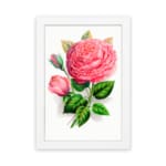 Vintage wall art with a pink rose in full bloom, a rosebud, and green leaves on a white background with a white frame. hung on the wall