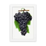 Vintage wall art print of dark purple grapes with green leaves on a white background. hung on the wall