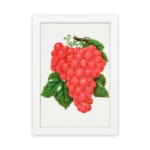 Vintage wall art of red grapes with green leaves on a white background. hung on the wall