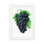 Vintage wall art of dark purple grapes with green leaves on a white background. hung on the wall