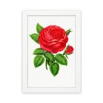 Vintage wall art of a bold red rose with green leaves on a white background, hung on the wall