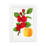 Infidu vintage wall art featuring vibrant red flowers and lush green leaves against a white background with a sleek black border. hung on the wall on a white background