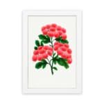 Infidu vintage wall art featuring delicate pink flowers and vibrant green leaves against a white background with a sleek black frame. hung on the wall on a white background