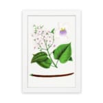 Vintage botanical wall art with soft pink and purple flowers and green leaves on a white background. hung on the wall