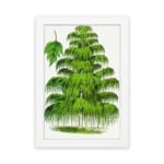 Infidu vintage wall art of a cascading green tree with detailed leaves on a white background. hung on the wall