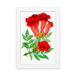 Infidu vintage wall art featuring red trumpet flowers with green leaves on a white background. hung on the wall