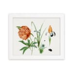 Vintage botanical wall art with orange peony, yellow and purple iris, and green leaves, featuring small insects, framed in white. hung on the wall