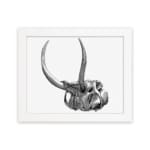 Black and white detailed vintage animal skull wall art with large curved horns on a white background. hung on the wall