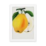 Vintage wall art of a yellow pear with a sliced half, green leaves, and a white background in a botanical illustration style. hung on the wall