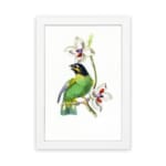A green bird perched on a branch with white flowers, set on a white background and framed in white. hung on the wall