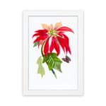 Vintage wall art print of a red flower with peach petals, green leaves, and a black and purple butterfly on a white background. hung on the wall