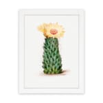 Vintage wall art of a cactus with a yellow flower in bloom, set against a light cream background, framed in white. hung on the wall