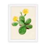 Vintage wall art featuring a cactus with yellow flowers, set against a light beige background with a white frame. hung on the wall