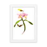 Infidu vintage wall art with pink flowers and butterflies on a white background. hung on the wall