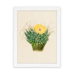 Infidu Vintage Cactus & Yellow Flower Wall Art showcasing a vibrant cactus plant with a yellow flower, framed in white. hung on the wall