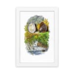 Vintage wall art showing two detailed seashells with seaweed on a white background, framed in black for a coastal nature-inspired look. hung on the wall