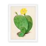 Vintage cactus wall art with a green cactus and yellow flower on a beige background, framed in white. hung on the wall