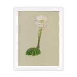 Vintage wall art with a round green cactus and a tall white flower with pink and yellow accents, on a beige background, framed in white. hung on the wall