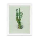 Vintage wall art of a green plant with small leaves, set against a soft light cream background, framed in white. hung on the wall