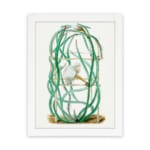 Vintage botanical wall art of a cactus with twisting green stems and a white flower, framed in white. hung on the wall