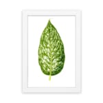 Vintage leaf wall art with a large green marbled leaf centered on a white background, framed in white. hung on the wall