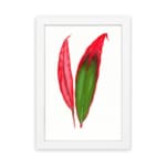 Vintage wall art of bold red and green tropical leaves in a white frame hung on the wall