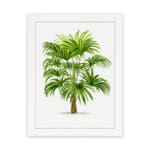 Infidu Vintage Wall Art of a lush tropical plant with green leaves and a brown trunk, framed in white, set against a clean white background. hung on the wall