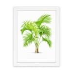Vintage wall art featuring a green palm plant with curved leaves, framed in white, adds a fresh tropical feel to any room. hung on the wall