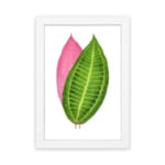Vintage wall art featuring a green and pink leaf print with detailed veins and a white background. hung on the wall