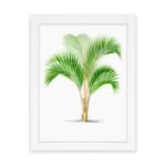 Vintage wall art of a green palm with long leaves and a split trunk framed in white. hung on the wall