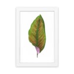 Vintage wall art of a green leaf with bright orange veins and a touch of purple at the base on a white background with a white frame. hung on the wall