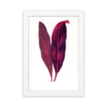 Vintage wall art featuring two red and purple leaves with a white background and white frame. hung on the wall