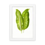 Vintage wall art featuring two large tropical green leaves with white lines and holes, set against a plain white background in a white frame. hung on the wall
