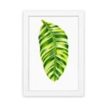 Bright green leaf with light and dark tones on white background in a white frame – vintage wall art by Infidu. hung on the wall