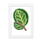 Vintage wall art of two overlapping green leaves with pinkish-red veins on a white background, framed in black. hung on the wall
