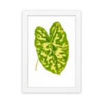 Vintage wall art of a large green tropical leaf with bright yellow streaks on a white background and white frame. hung on the wall